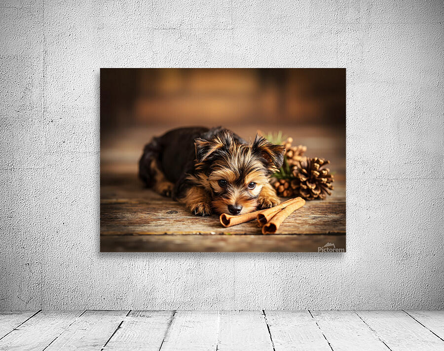 Happy Yorkshire Terrier Puppy With Nature Treasures Wall Preview