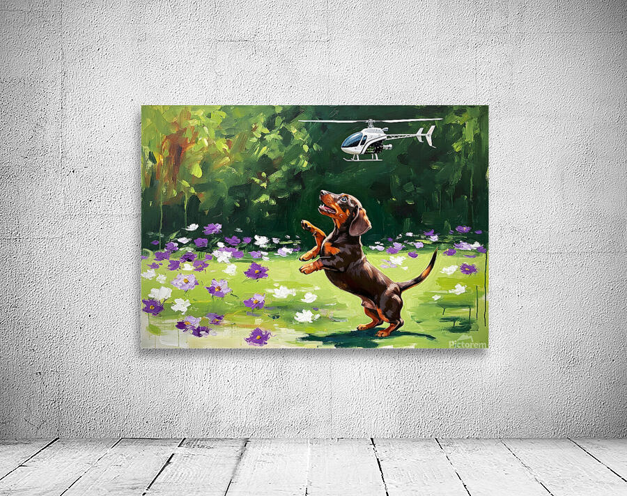 Dachshund Puppy Discovers Flying Toy Wall Preview