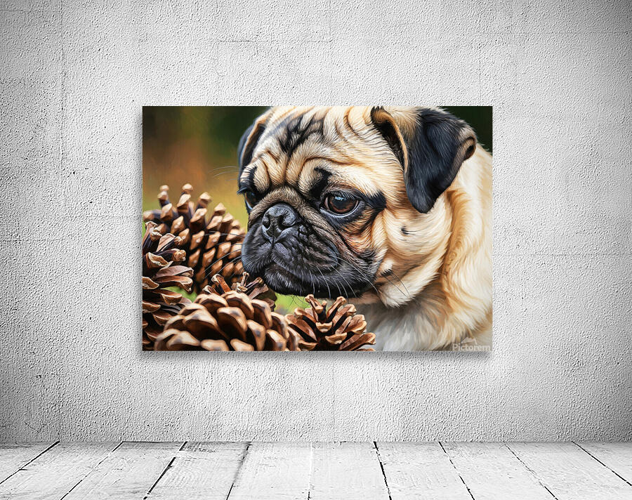 Pug Puppy Discovers Interesting Scents On Floor Wall Preview