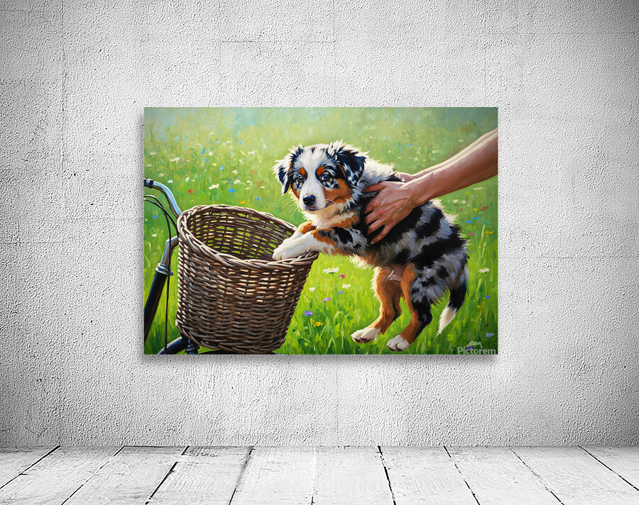 Australian Shepherd Puppy Discovers Bicycle Basket Adventure Wall Preview