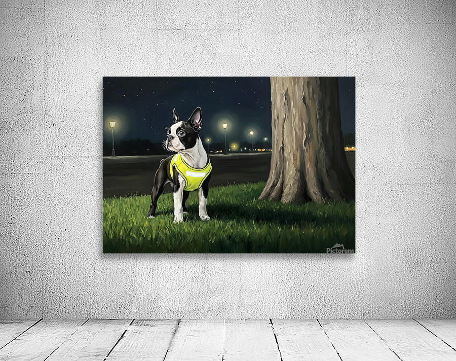 Sleepy Boston Terrier Puppy Returns From Night Walk Wall Preview