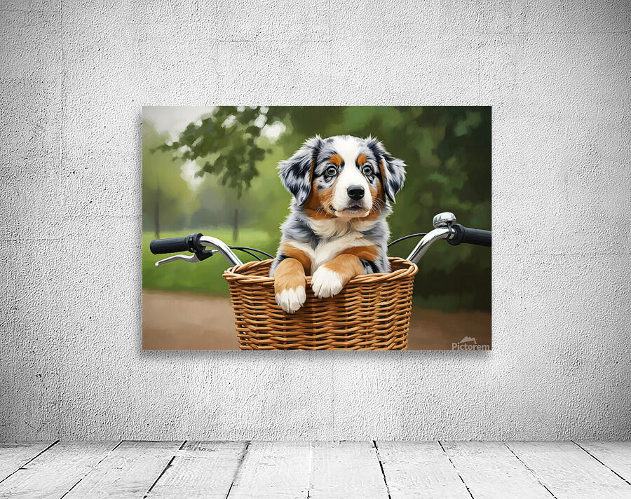 Happy Australian Shepherd Puppy Enjoys Bicycle Ride Wall Preview