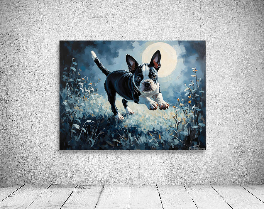 Boston Terrier Puppy Discovers Mysterious Nighttime Shadows Wall Preview