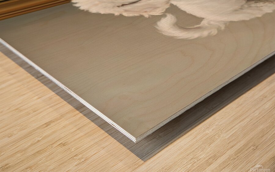 Playful White Bichon Frise Puppy Invites Mirror Reflection To Play Impression sur bois