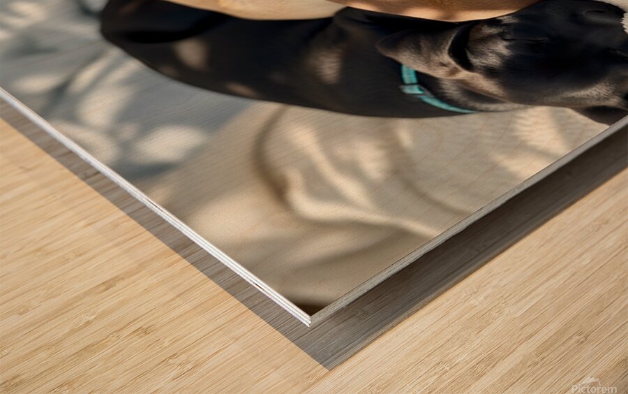 Sleepy Brown Dachshund Puppy Cuddling With Tired Siblings Impression sur bois