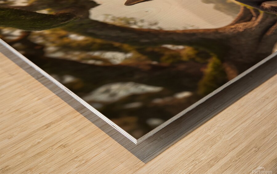 German Shepherd Puppy Resting Watches Butterfly Wood print