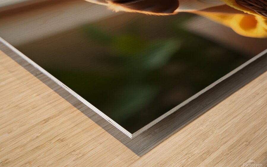 Bulldog Puppy Sleeps Peacefully In Wicker Basket Wood print