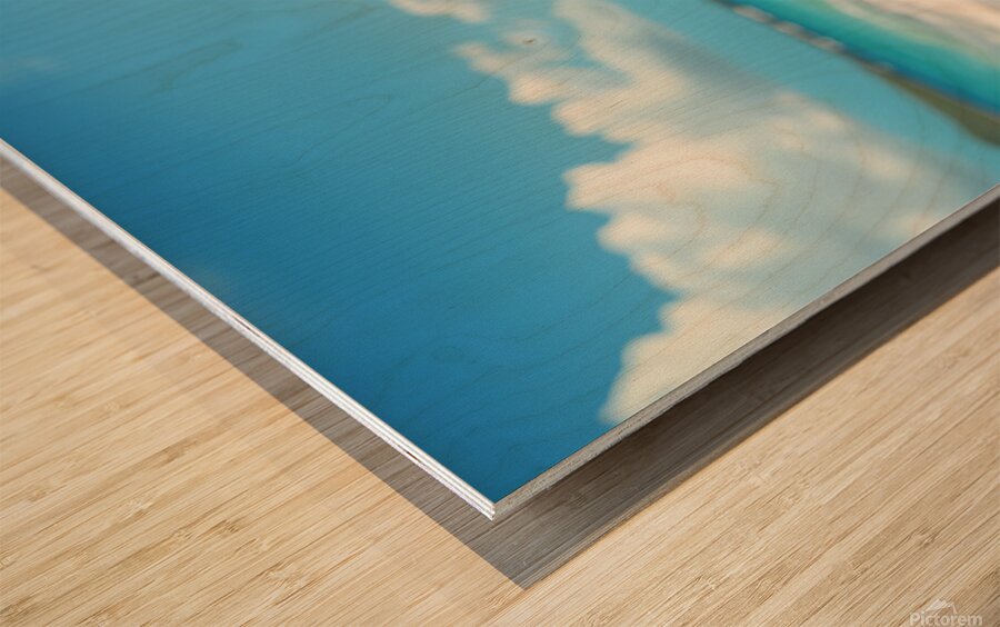 Yorkshire Terrier Puppy Discovers The Beach Wood print