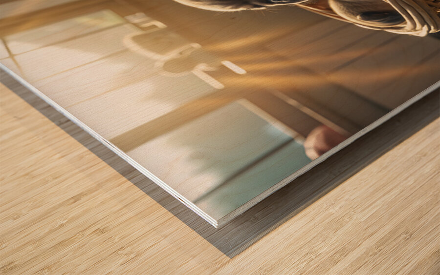 Pug Puppy Dreams In Warm Sunlight Wood print