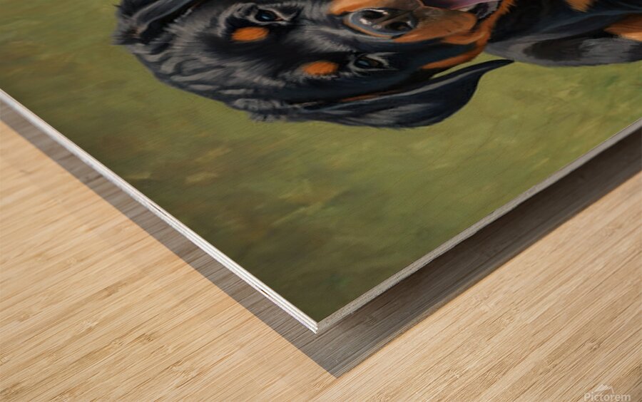 Exhausted Rottweiler Puppy Rests After Fun Playtime Impression sur bois