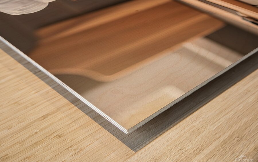 Shih Tzu Puppy Chef Ready To Cook Impression sur bois