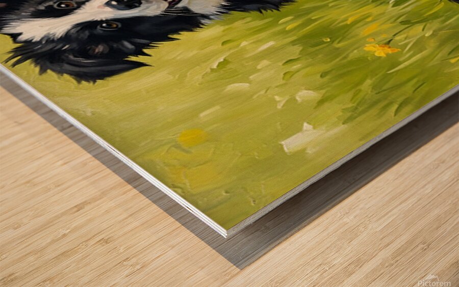 Happy Border Collie Puppy After Dandelion Discovery Wood print