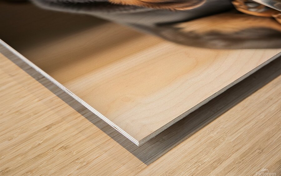 Drowsy German Shepherd Puppy Resting After Eating Impression sur bois