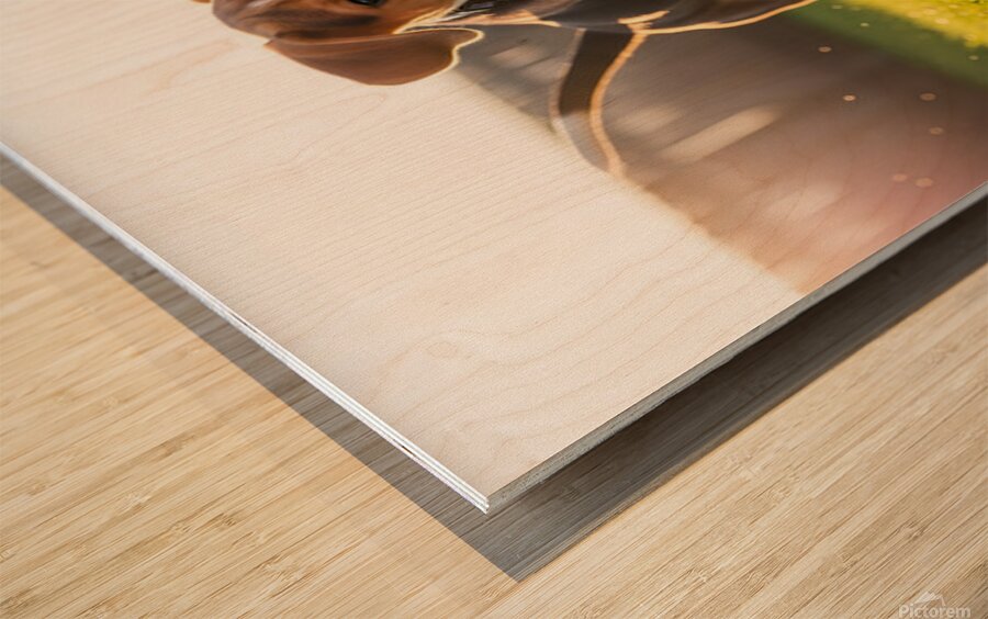 Beagle Puppys Energetic Ball Chase Adventure Impression sur bois