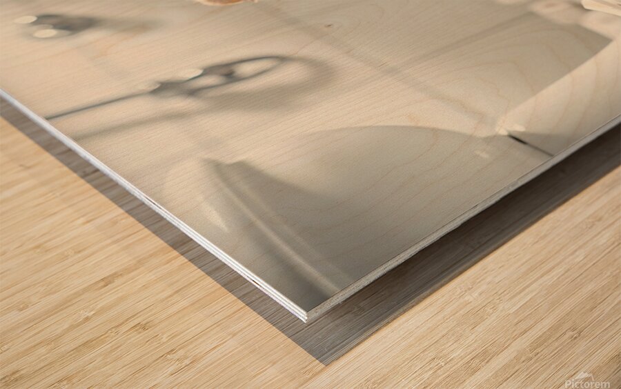 Pomeranian Puppy Discovers Toilet Paper Roll Impression sur bois