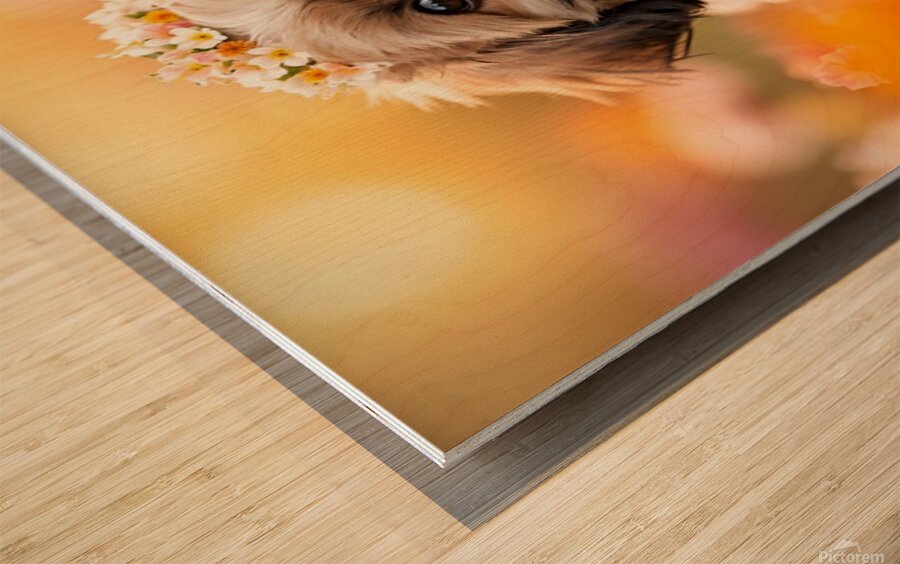 Shih Tzu Puppy Discovers Beautiful Flower Crown Impression sur bois