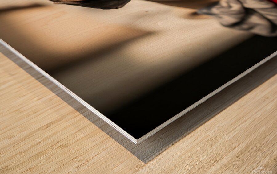 Sleepy Pug Puppy After Car Adventure Wood print