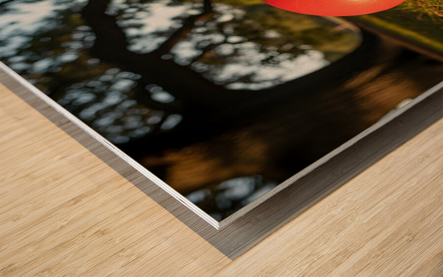 Exhausted BulldogPuppy Rests By Giant Ball Wood print