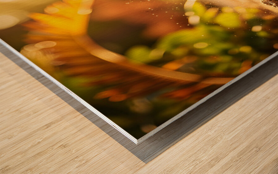 Bulldog Puppy Discovers Sandy Adventure Wood print