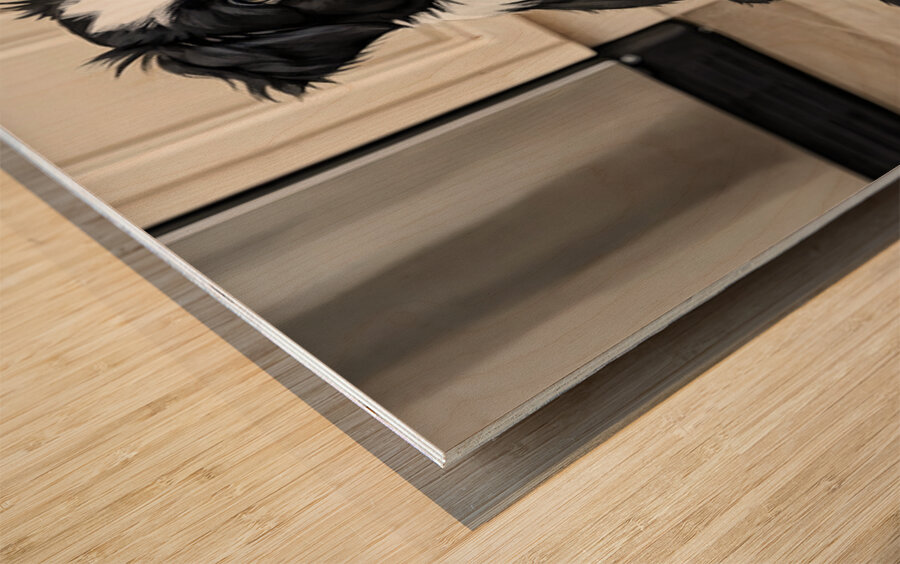 Border Collie Puppy Anticipates Delicious Treat Impression sur bois