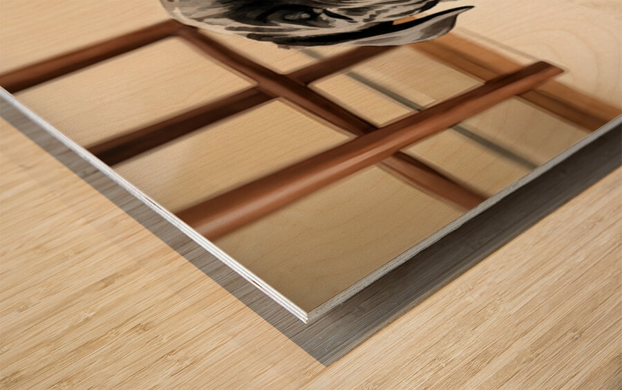 Cane Corso Puppy Stretches After Peaceful Nap Impression sur bois