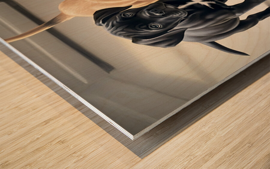 Cane Corso Puppy Waits His Turn At Water Bowl Impression sur bois