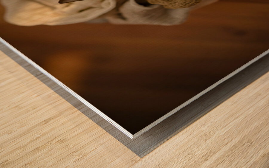 Chihuahua Puppy Naps On Laundry Pile Wood print