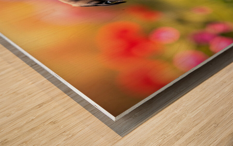 Pug Puppy Discovers Fun Game In Garden Wood print