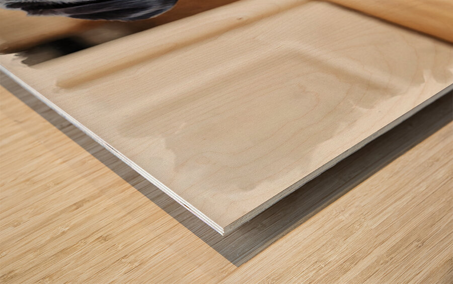 Eager Rottweiler Puppy Hopes For More Scratches Impression sur bois