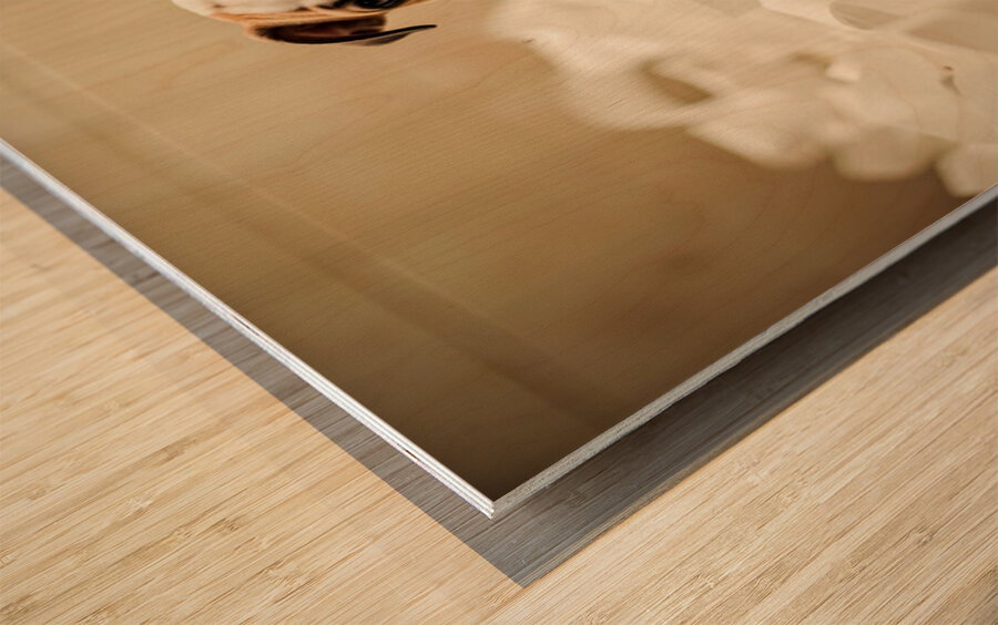 Bulldog Puppys Toilet Paper Trouble Begins Impression sur bois