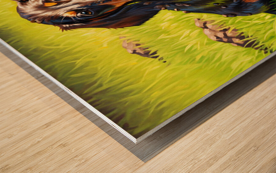 Muddy Dachshund Puppy Sits Contentedly Wood print