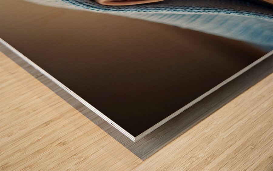 French Bulldog Puppy Discovers Cozy Blanket Adventure Wood print