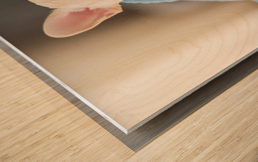 French Bulldog Puppy Snuggles With Favorite Blue Blanket Wood print