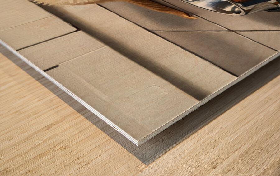 Satisfied Golden Retriever Puppy After Finishing Meal Wood print