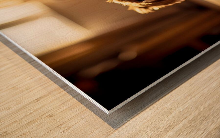 Sleepy Shih Tzu Puppy Ready For Bedtime Wood print