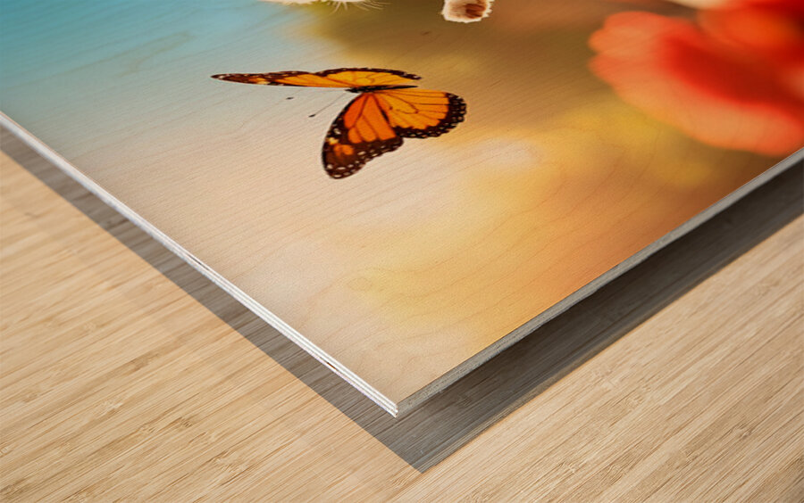 Shih Tzu Puppy Discovers Beautiful Butterfly In Garden Impression sur bois