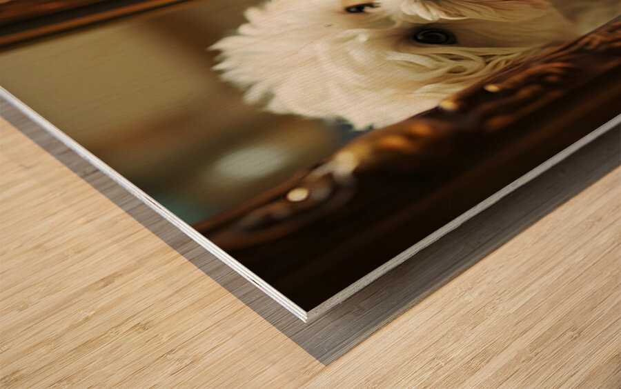 Happy Bichon Frise Puppy Wags At His Reflection Wood print
