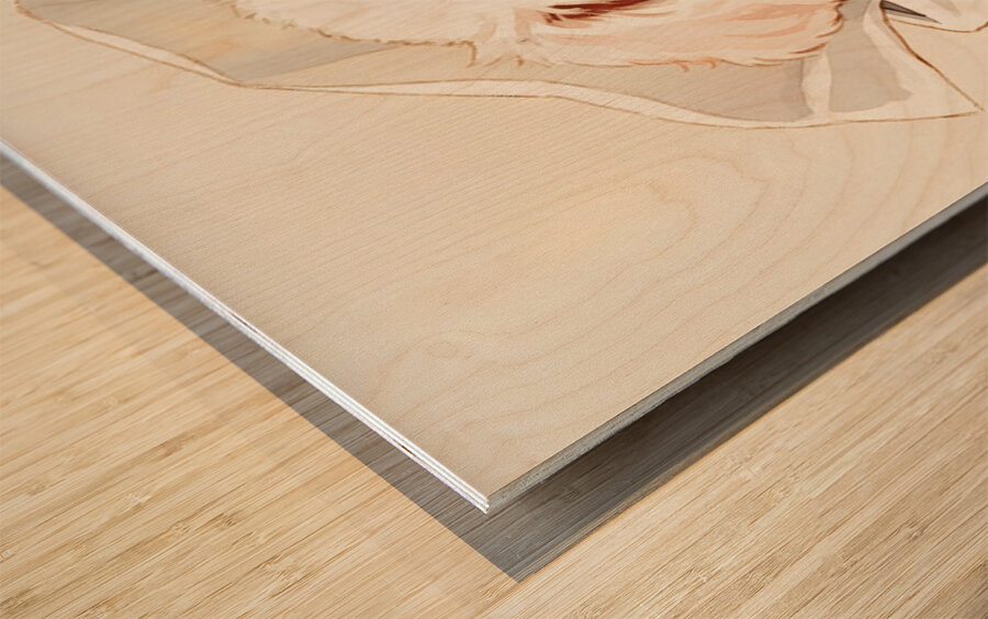 Brave Bichon Frise Puppy Escapes From Tissue Box Impression sur bois