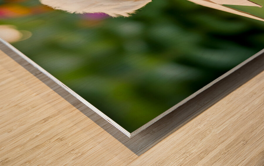 Happy Bichon Frise Puppy With Discovered Toy Treasures Wood print