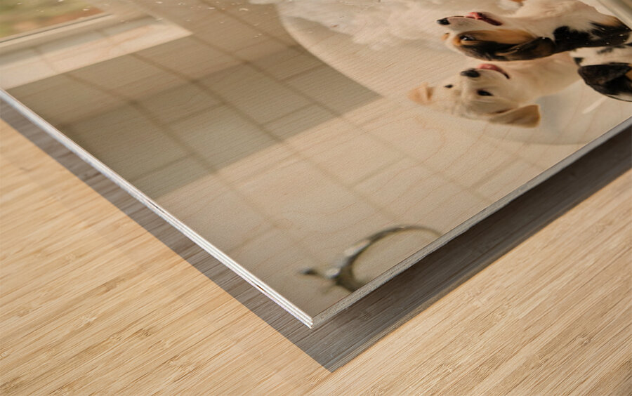 Labrador Puppys First Bath Time Adventure Wood print