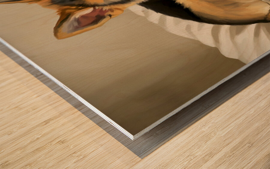 German Shepherd Puppy Snuggles With Cat Friend Impression sur bois