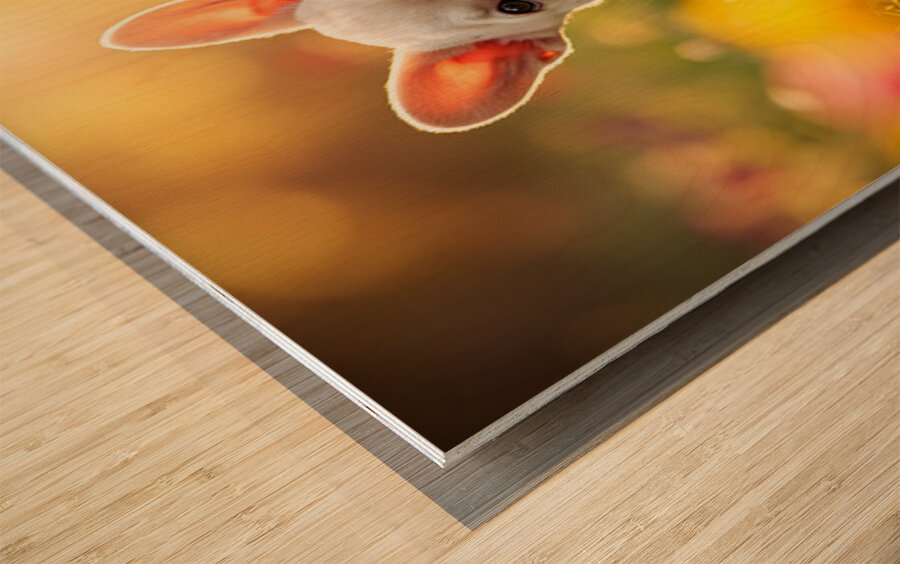 French Bulldog Puppys Cozy Evening Sploot By Fireplace Wood print