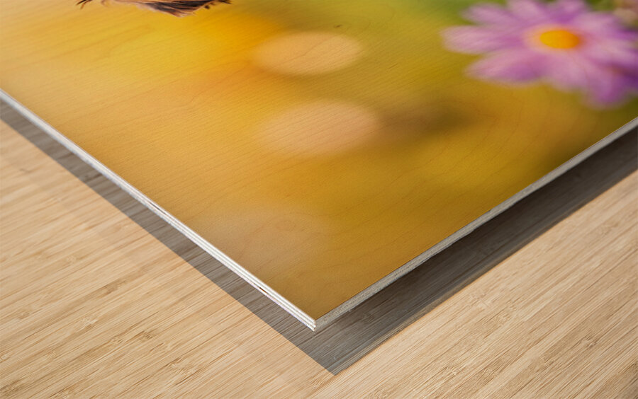 Yorkshire Terrier Puppy Finds Big Stick Adventure Wood print