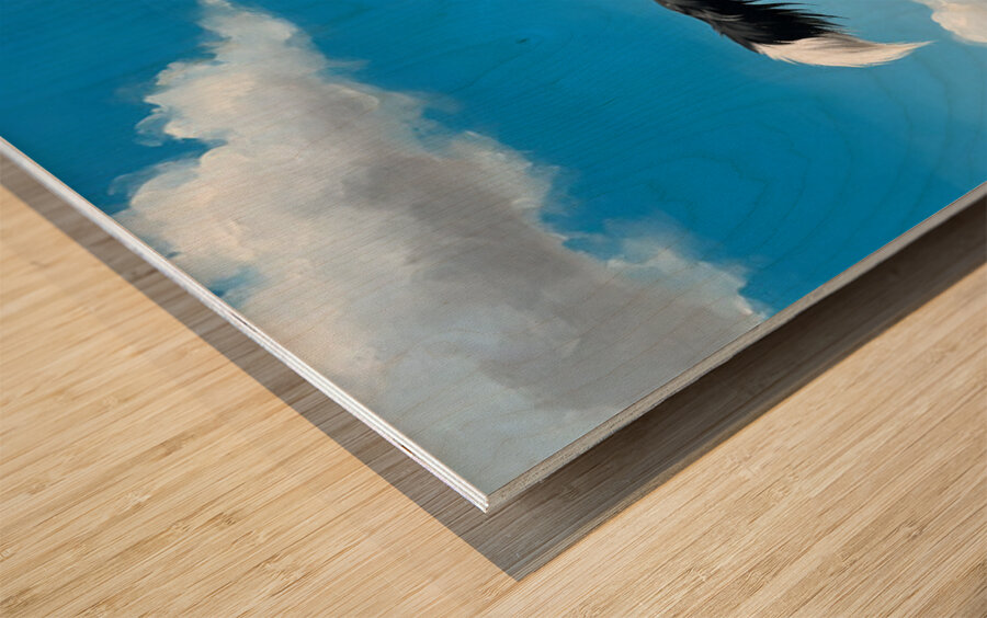 Successful Border Collie Puppy With Tennis Ball Wood print