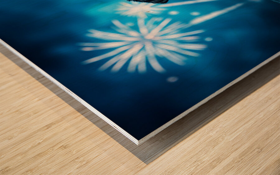 Rottweiler Puppy Completes Fireworks Adventure Impression sur bois