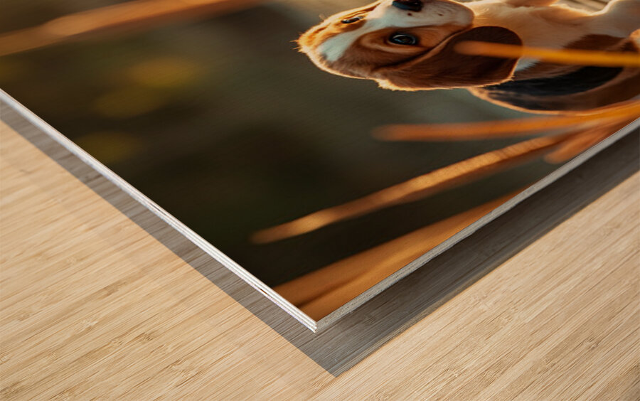 Beagle Puppy Explores By The Pond Impression sur bois