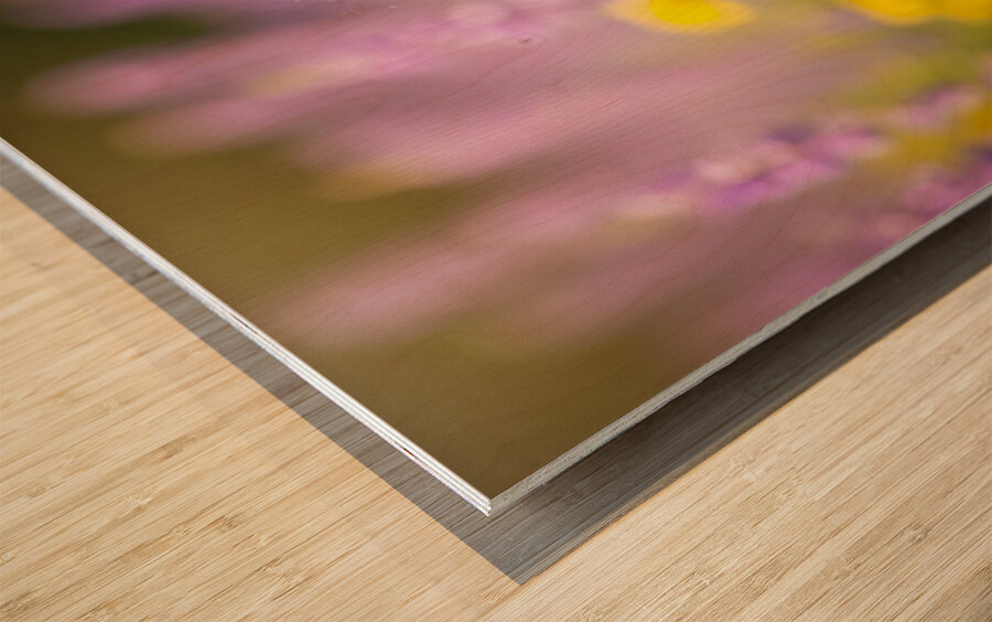 Beagle Puppy Claims His Royal Throne Wood print