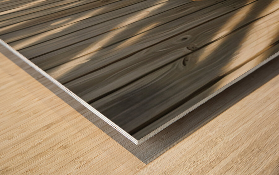 Beagle Puppy Discovers His Superhero Mask Impression sur bois