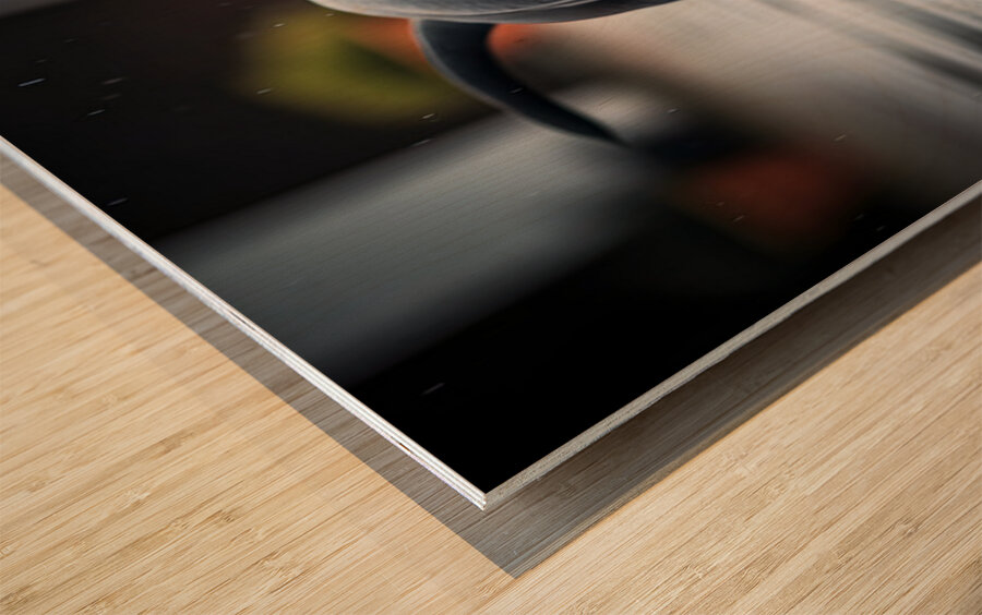 Rottweiler Puppy Discovers Garden Snail On Rainy Day Impression sur bois