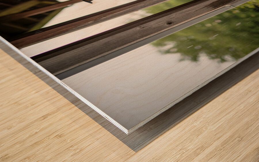 Joyful Rottweiler Puppy Wags Tail Under Porch Impression sur bois